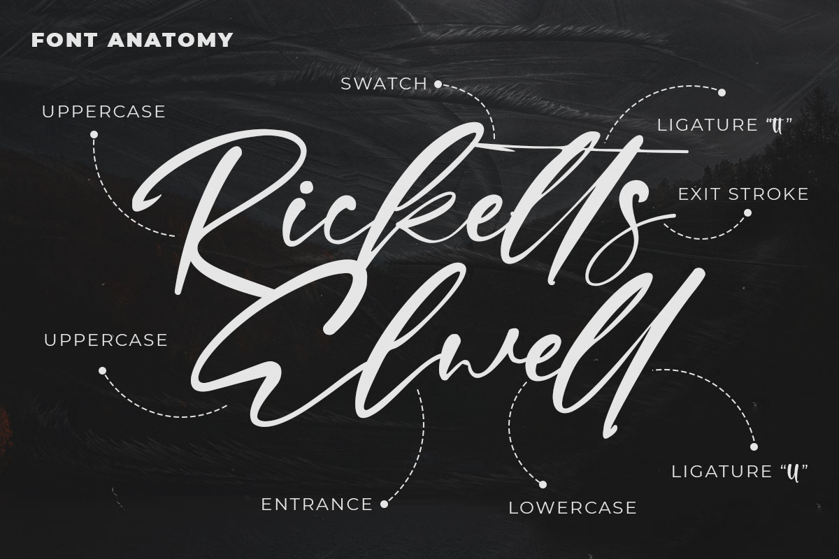 Sharkey Elegant Script Font - Image 3