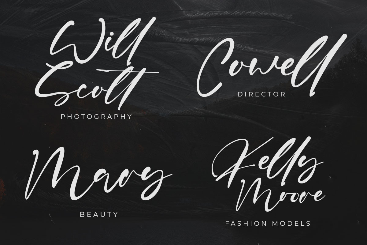 Sharkey Elegant Script Font - Image 4