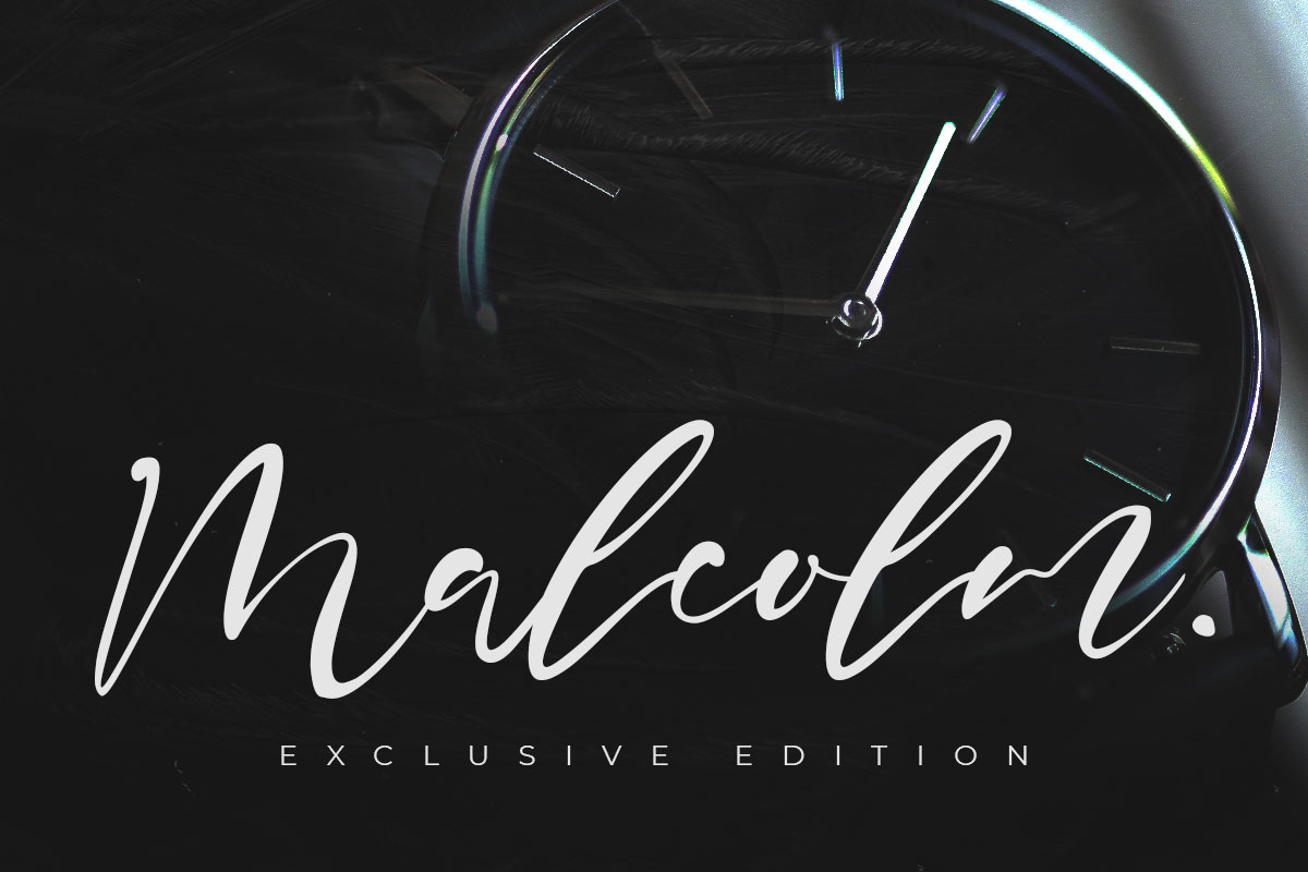 Sharkey Elegant Script Font - Image 5