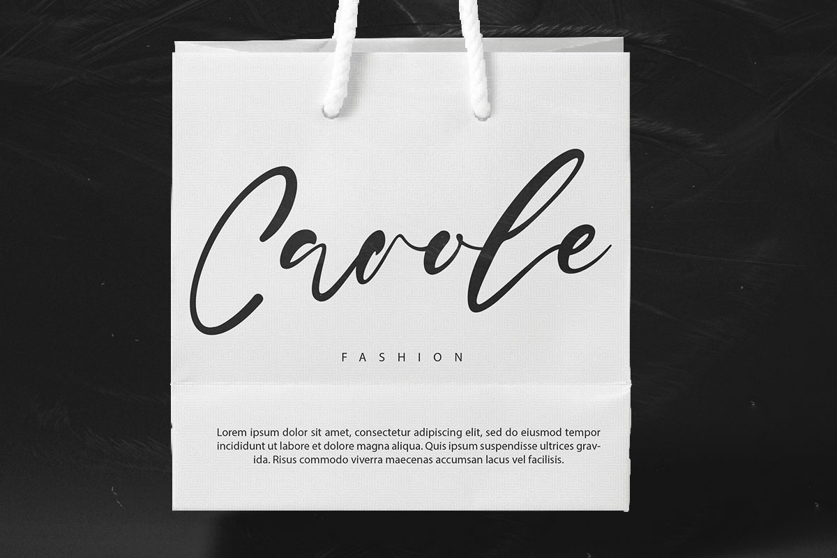 Sharkey Elegant Script Font - Image 8