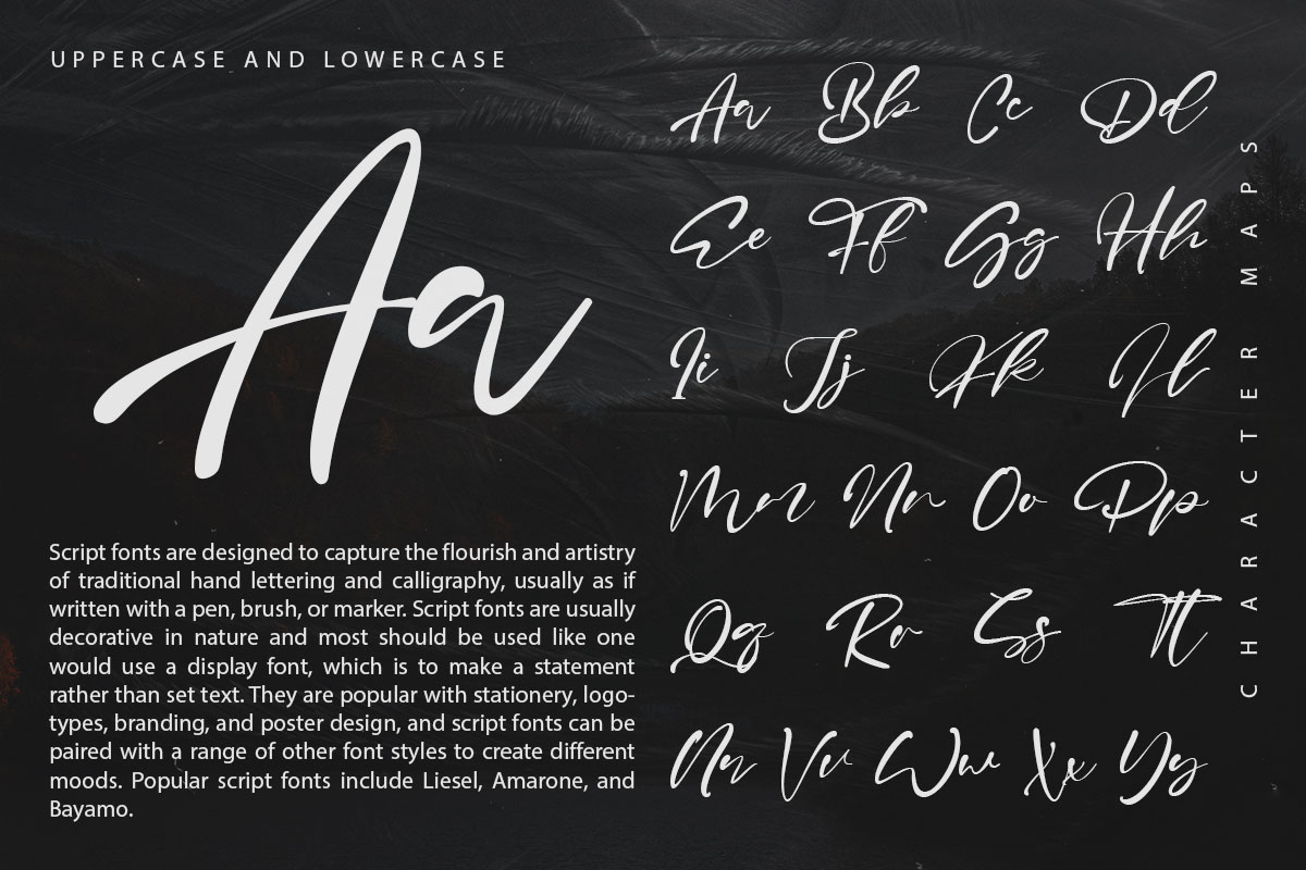 Sharkey Elegant Script Font - Image 9