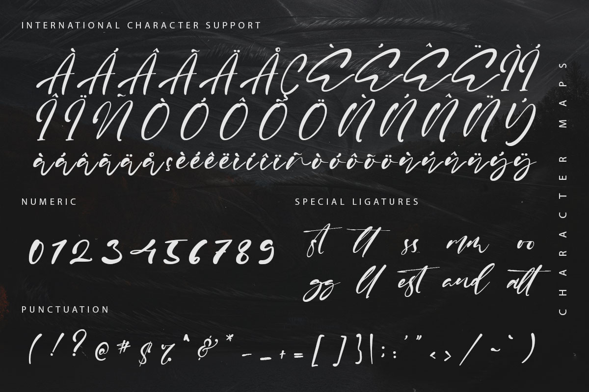 Sharkey Elegant Script Font - Image 10