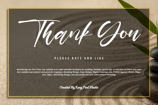 Shayne Calligraphy Script Font - Image 11