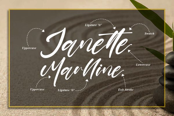 Shayne Calligraphy Script Font - Image 3
