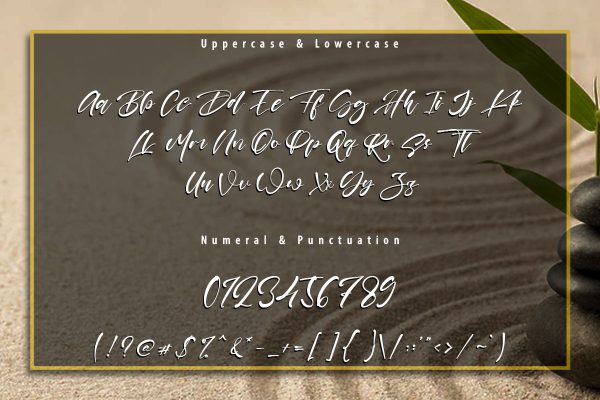 Shayne Calligraphy Script Font - Image 9