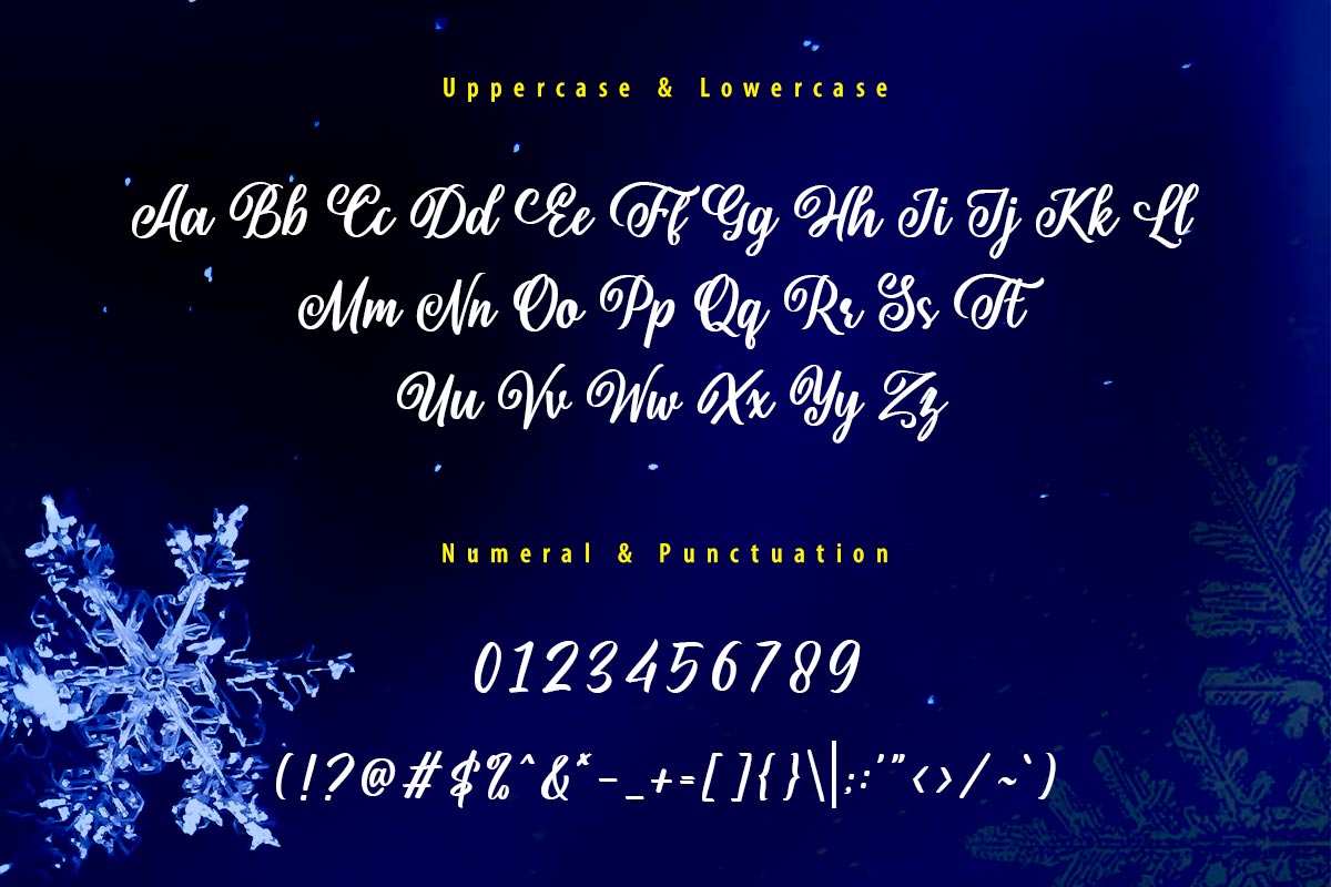 Shielfie Christmas Script Font - Image 9