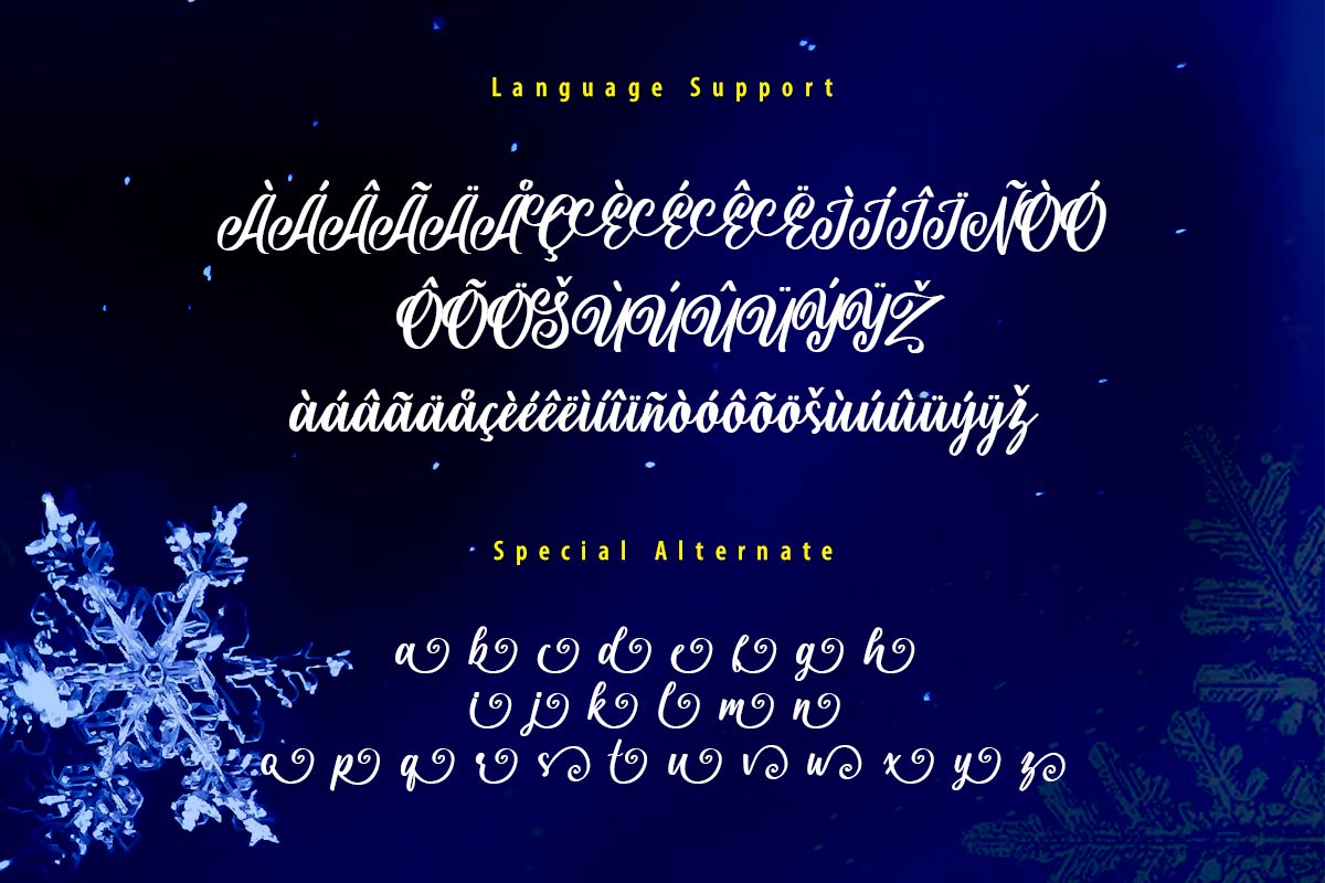 Shielfie Christmas Script Font - Image 10