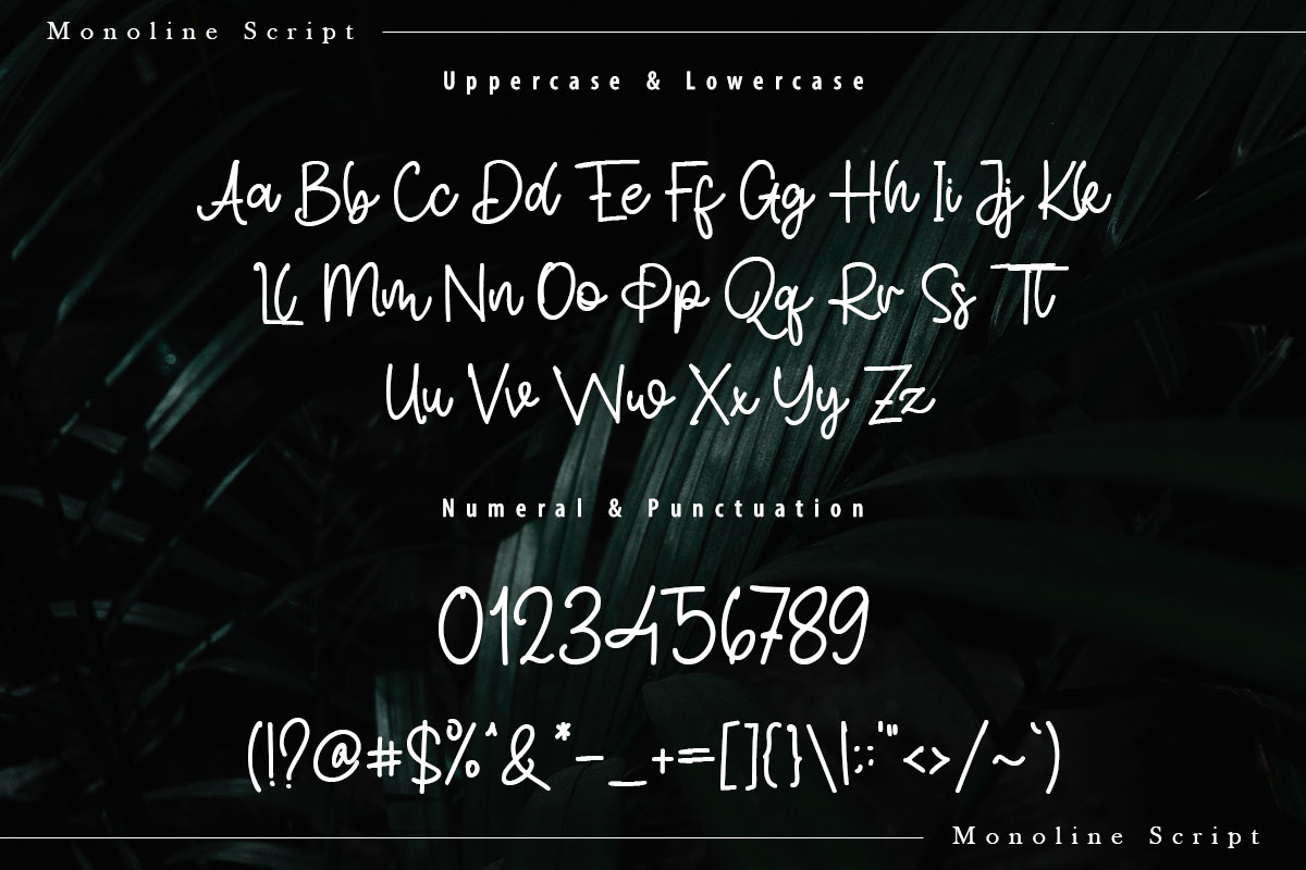 Simon Allice Handwritten Script Font - Image 9