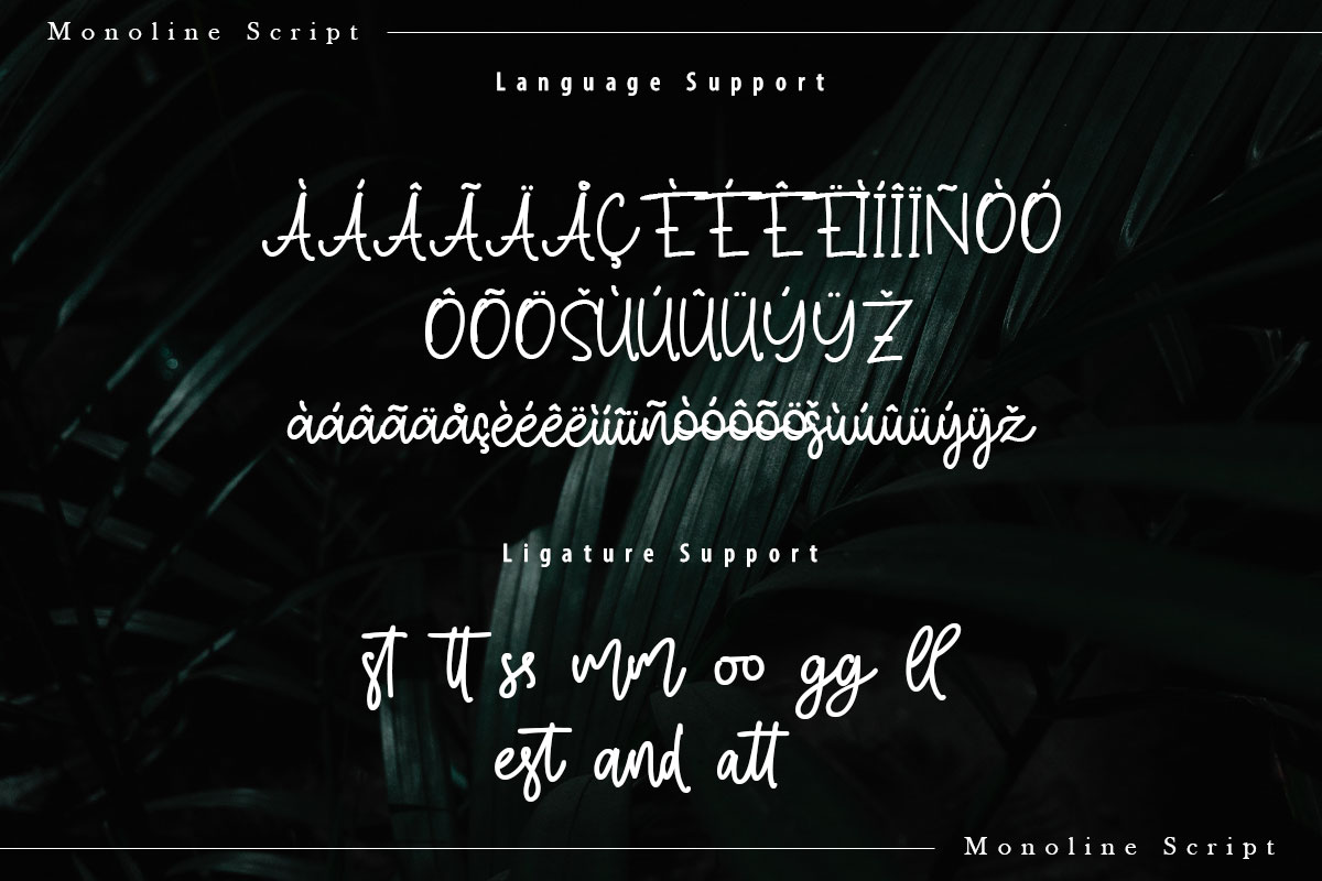 Simon Allice Handwritten Script Font - Image 10