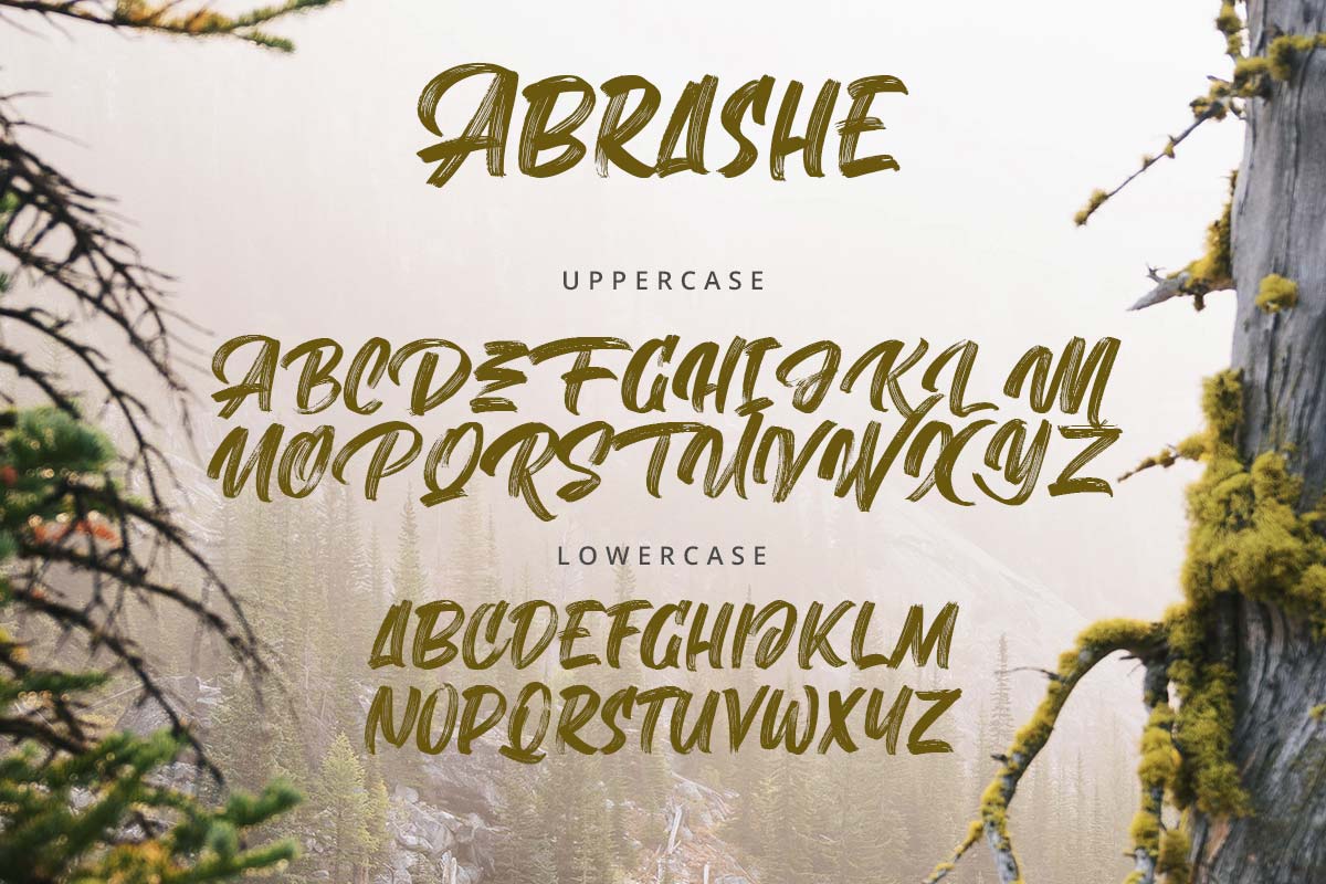 Abrashe Brush Font - Image 9