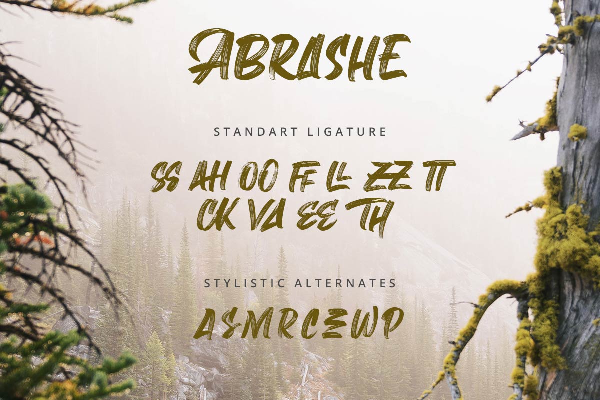 Abrashe Brush Font - Image 10