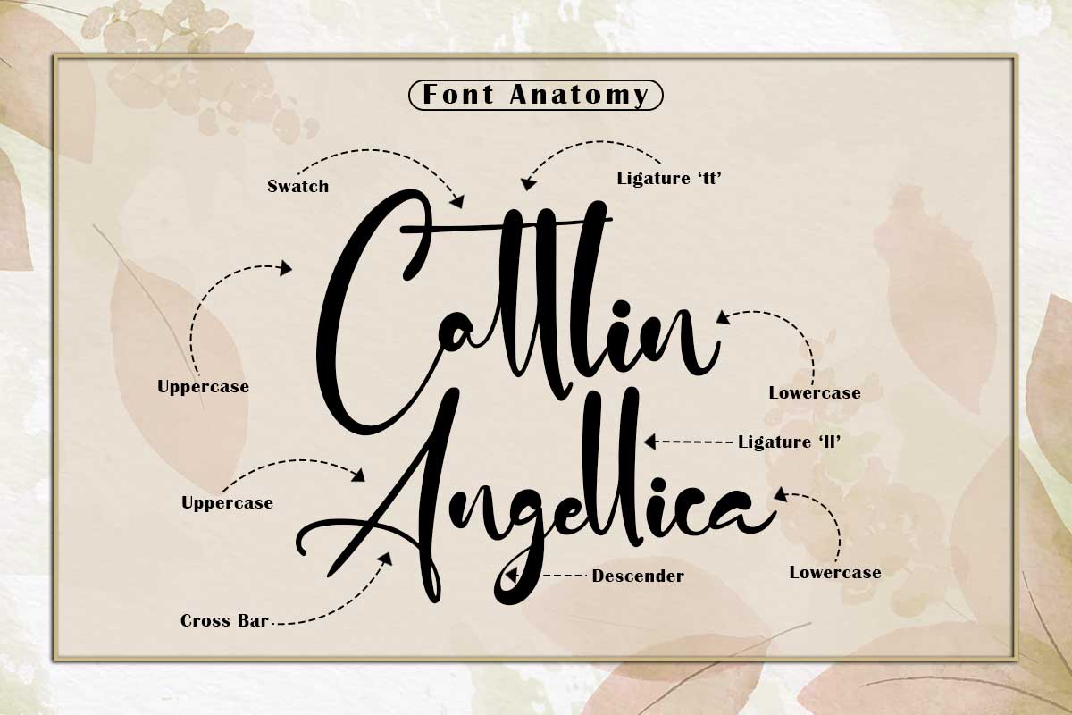 Adrian Martin Elegant Script Font - Image 3