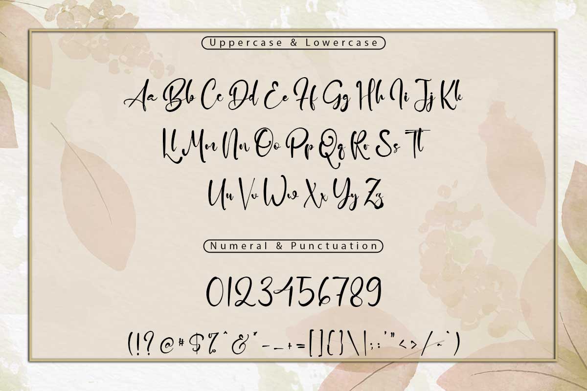Adrian Martin Elegant Script Font - Image 9