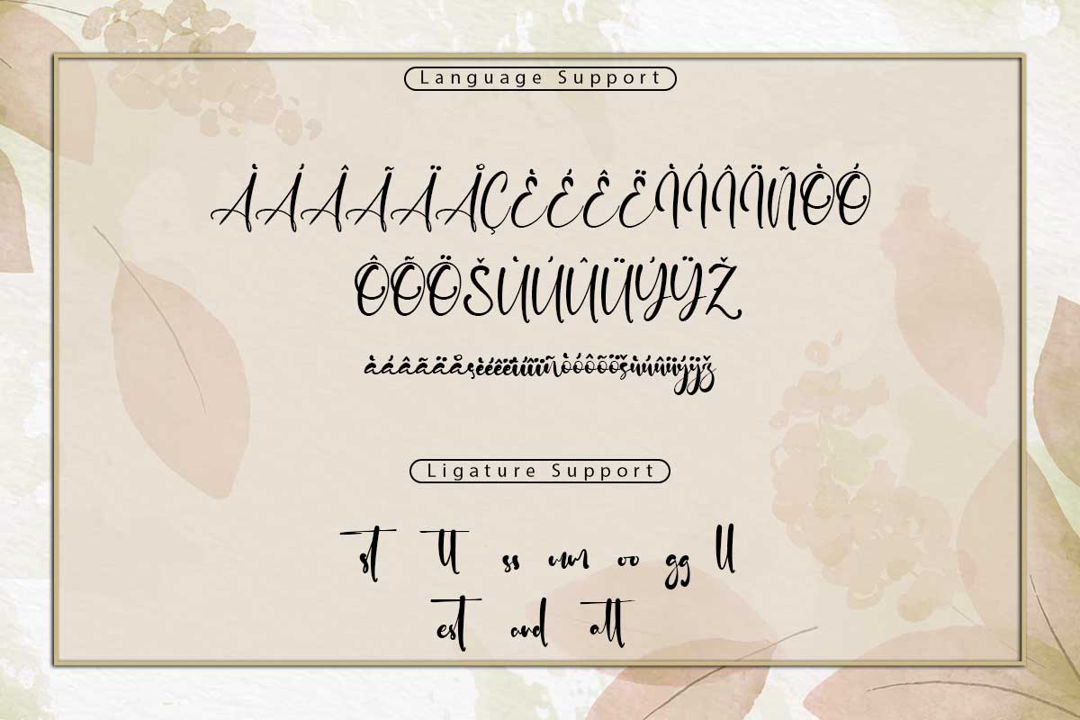 Adrian Martin Elegant Script Font - Image 10
