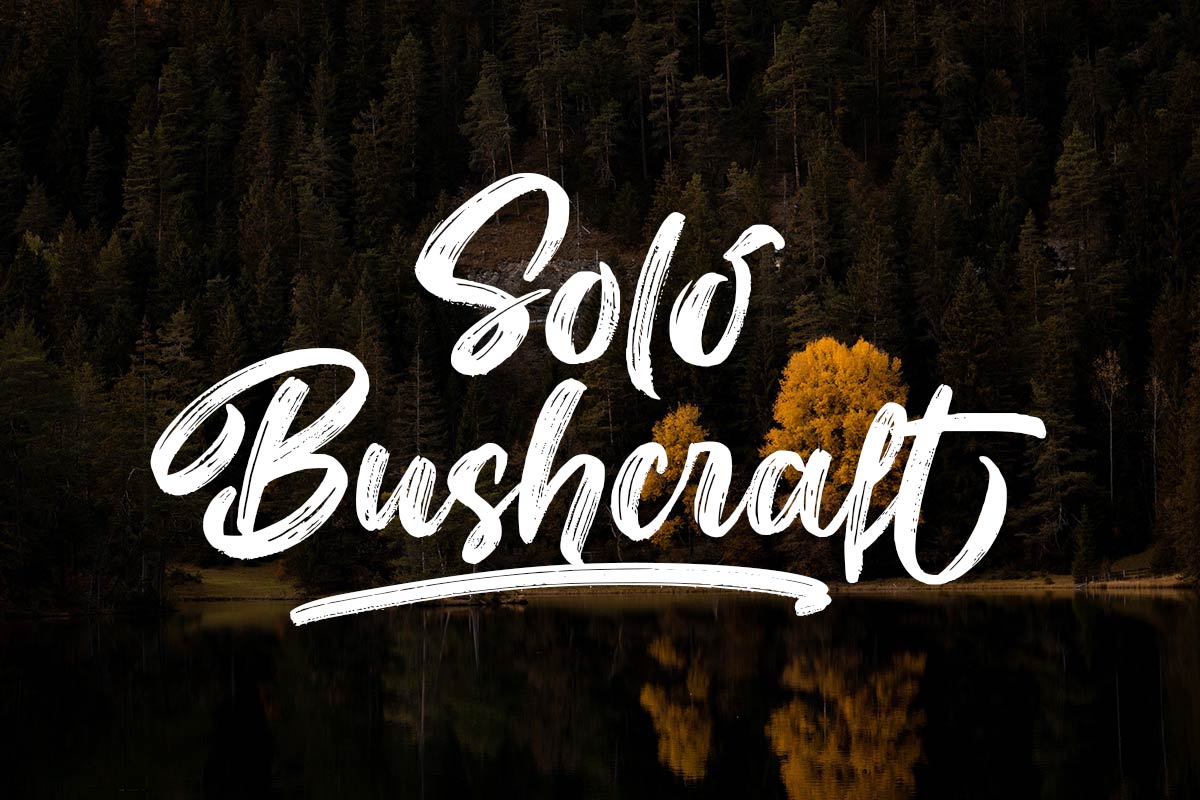 Alternitty Script Brush Font - Image 6