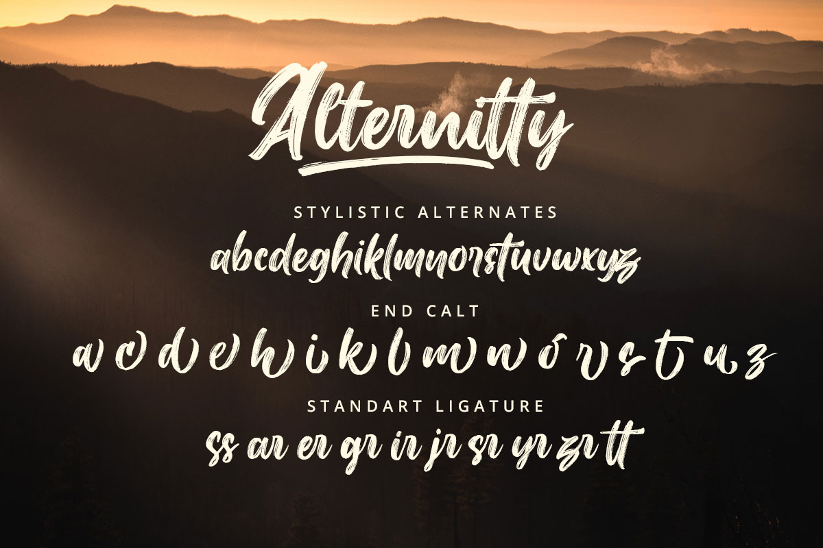 Alternitty Script Brush Font - Image 9