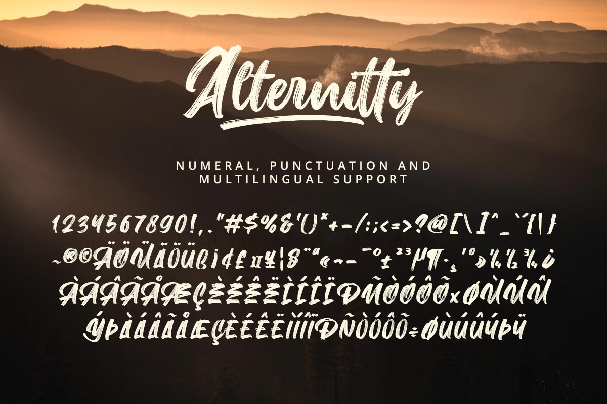Alternitty Script Brush Font - Image 10