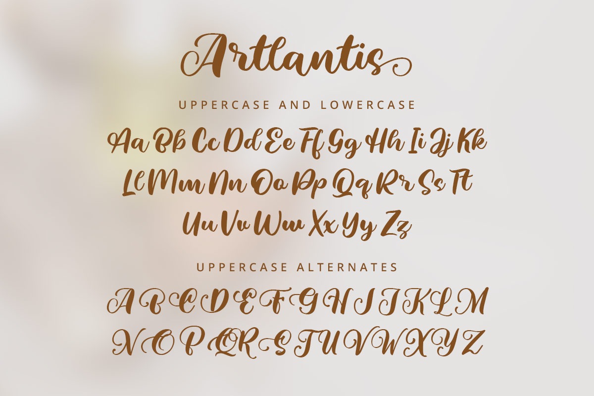 Artlantis Calligraphy Script Font - Image 7