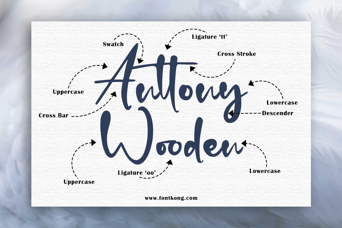 Balderston Script Font - Image 3