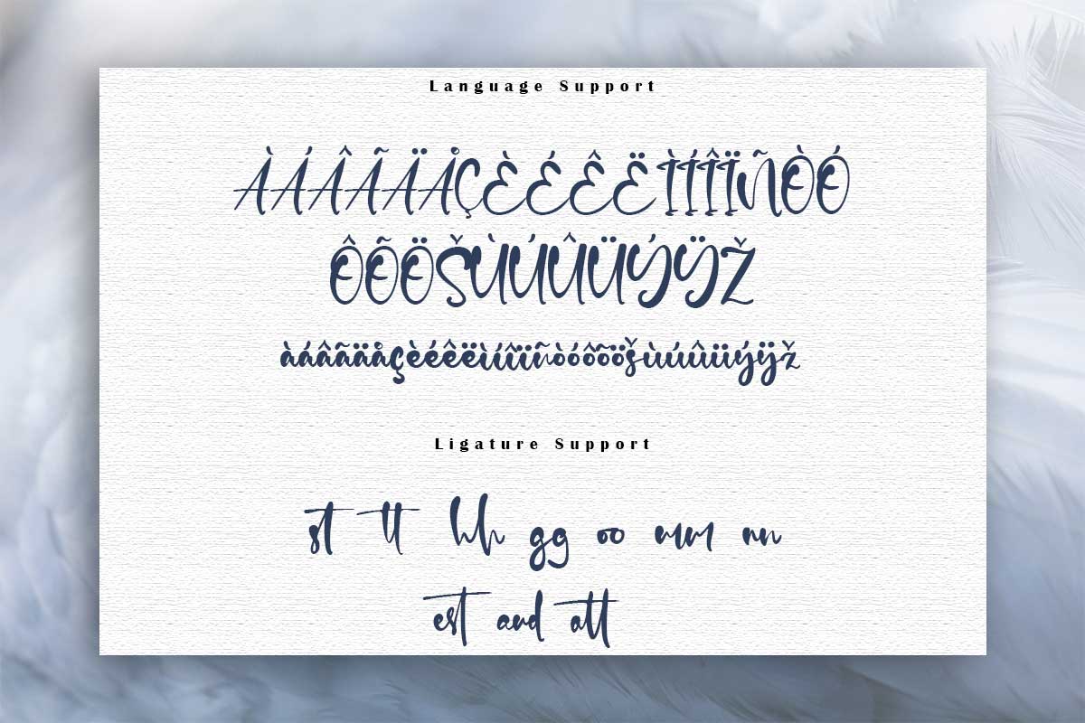 Balderston Script Font - Image 10