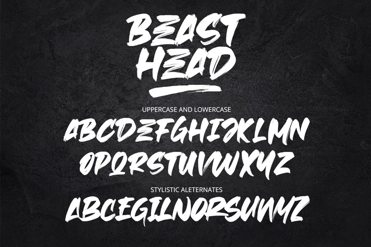 Beast Head Brush Font - Image 6