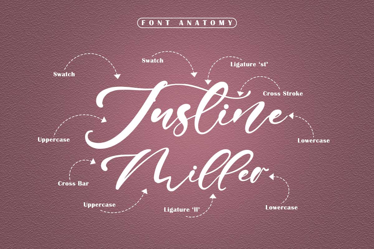 Betty Sean Classy Script Font - Image 3