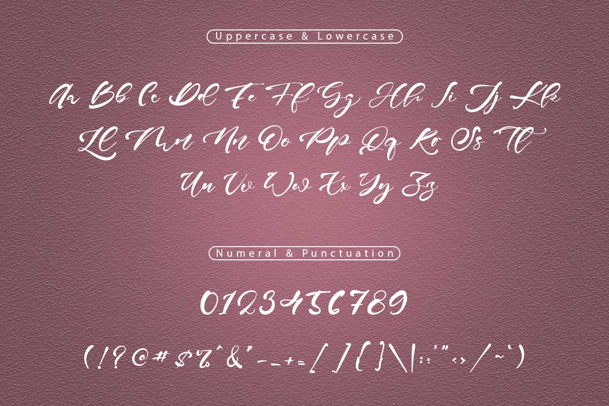 Betty Sean Classy Script Font - Image 9