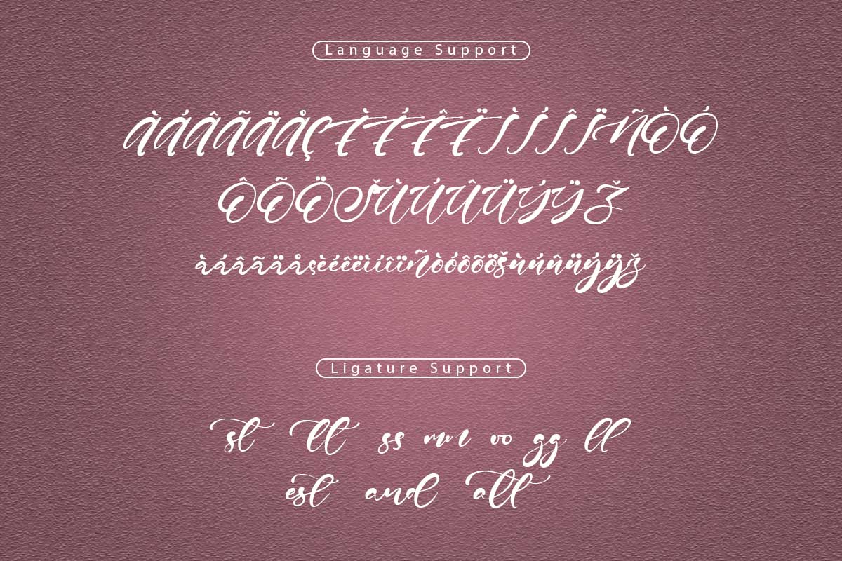 Betty Sean Classy Script Font - Image 10