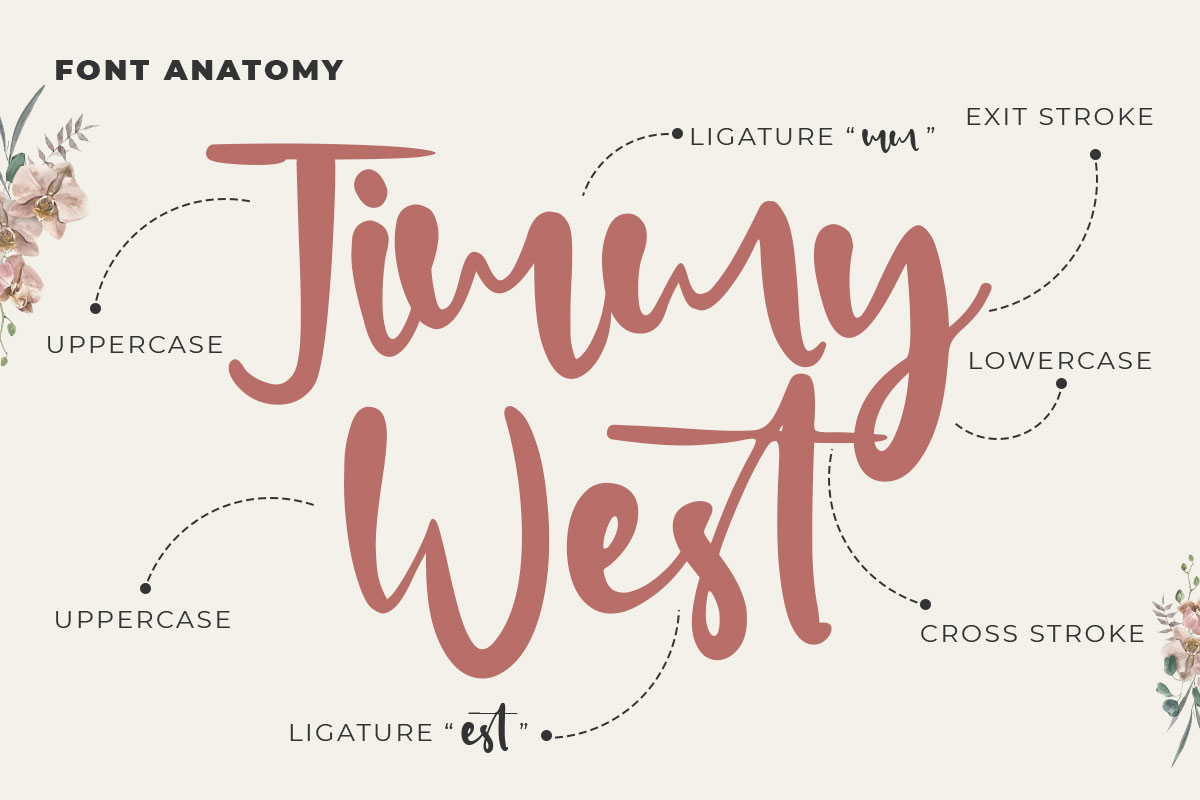 Calla Lilly Script Font - Image 4