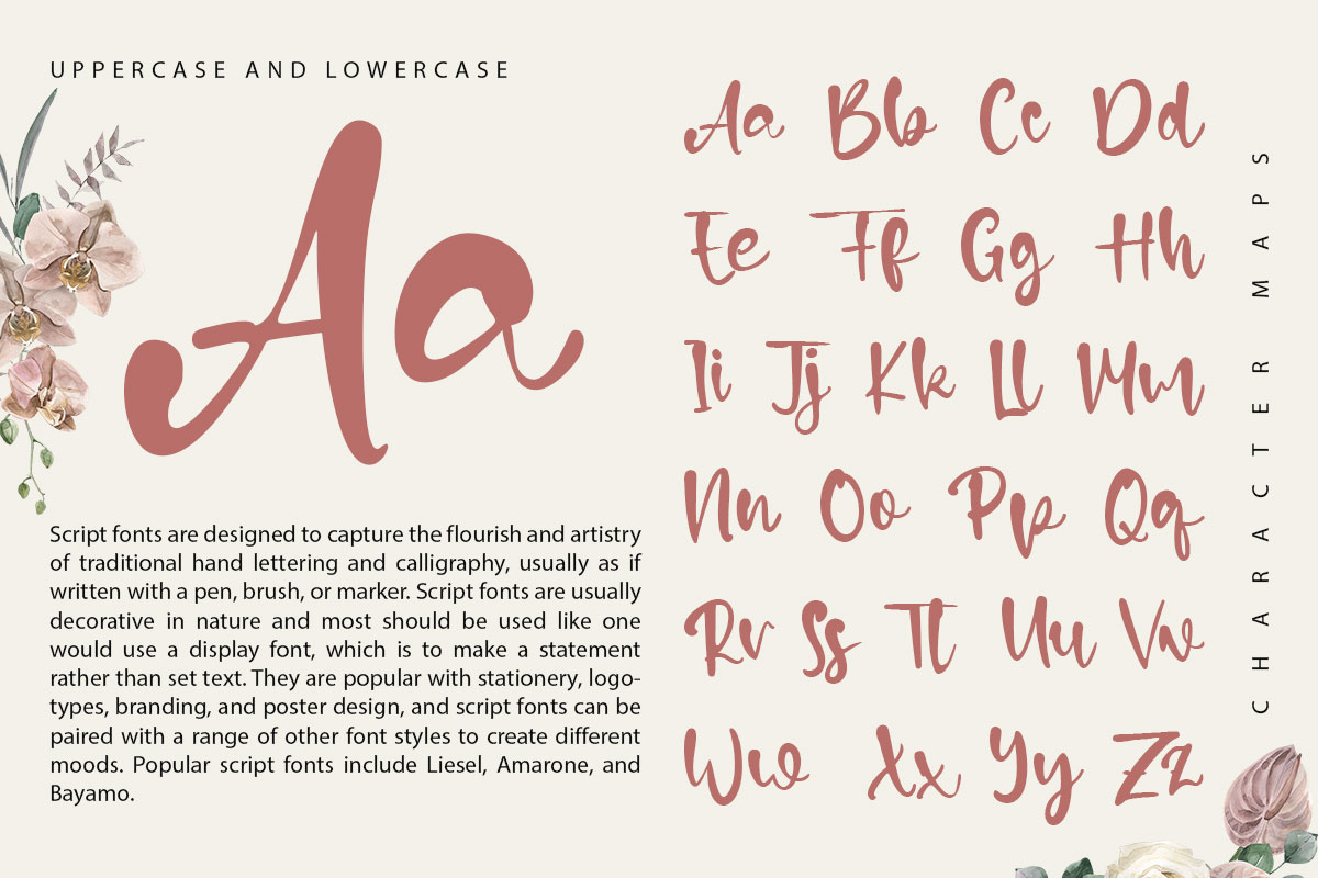 Calla Lilly Script Font - Image 9