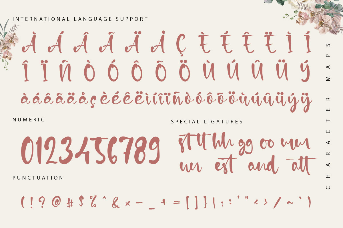 Calla Lilly Script Font - Image 10