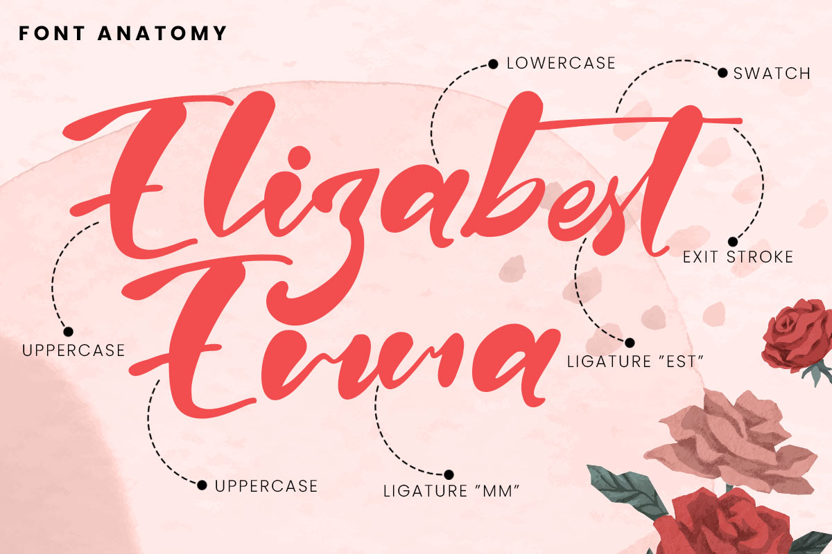 Claralove Script Font - Image 3