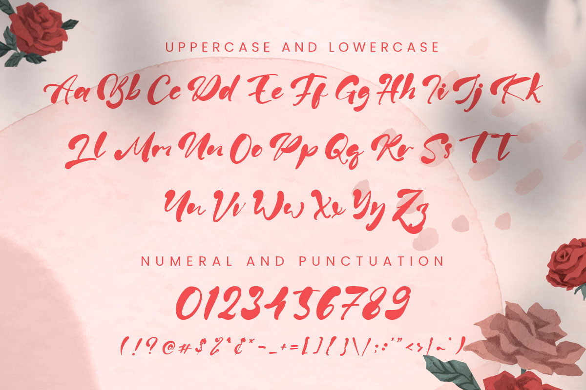 Claralove Script Font - Image 9