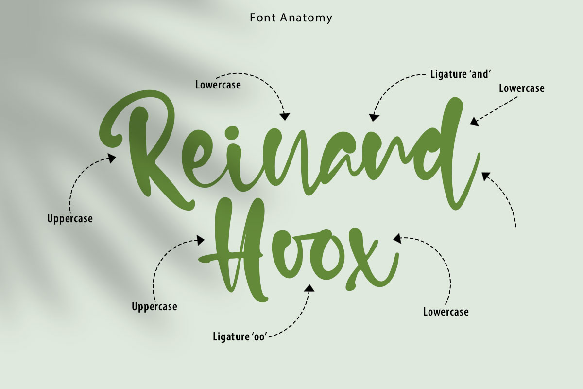 Courtney Modern Script Font - Image 3