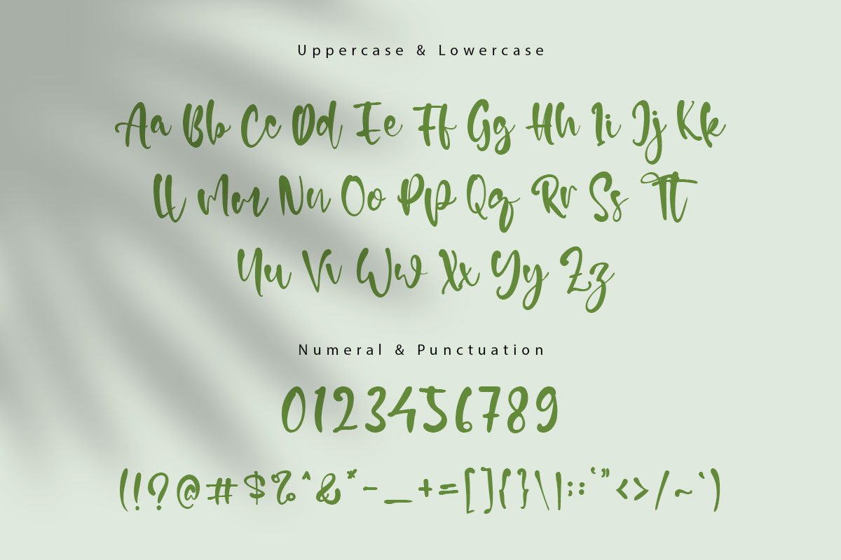 Courtney Modern Script Font - Image 9