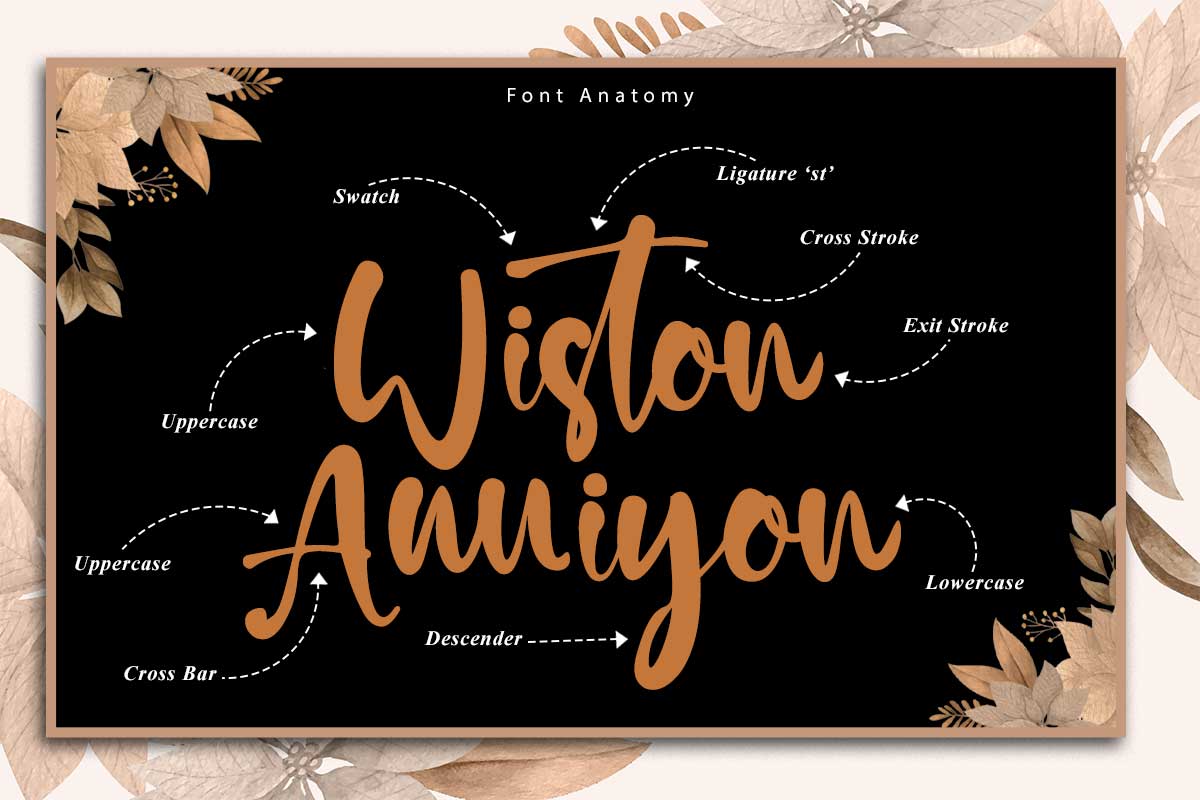 Daniel Rachel Modern Script Font - Image 3