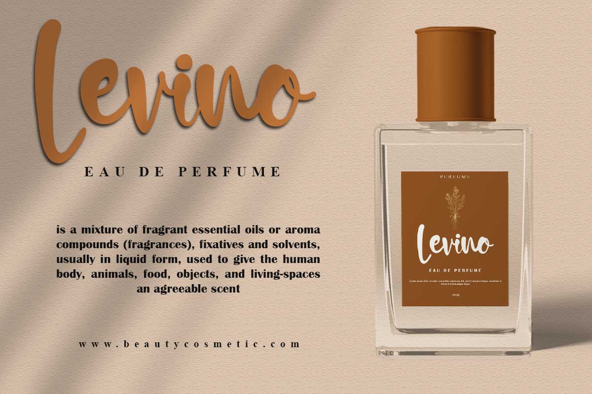 Daniel Rachel Modern Script Font - Image 5