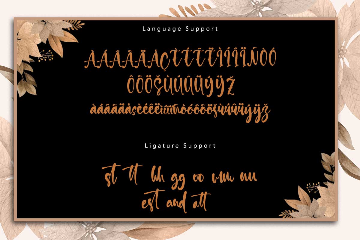 Daniel Rachel Modern Script Font - Image 10