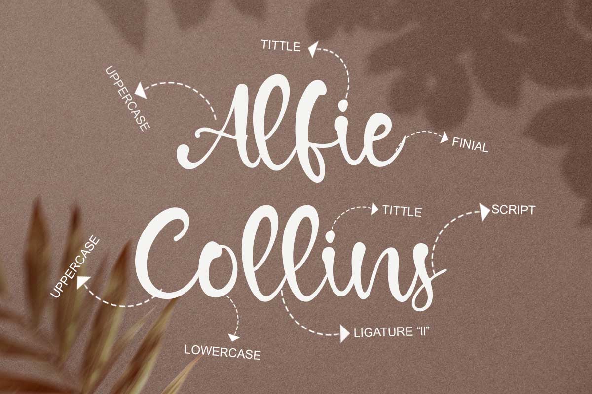 Dennison Calligraphy Font - Image 3