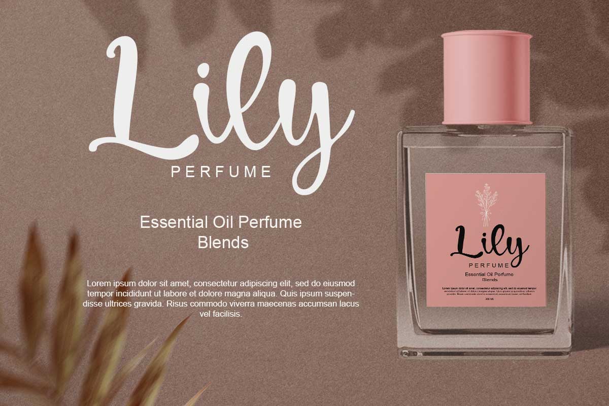 Dennison Calligraphy Font - Image 8