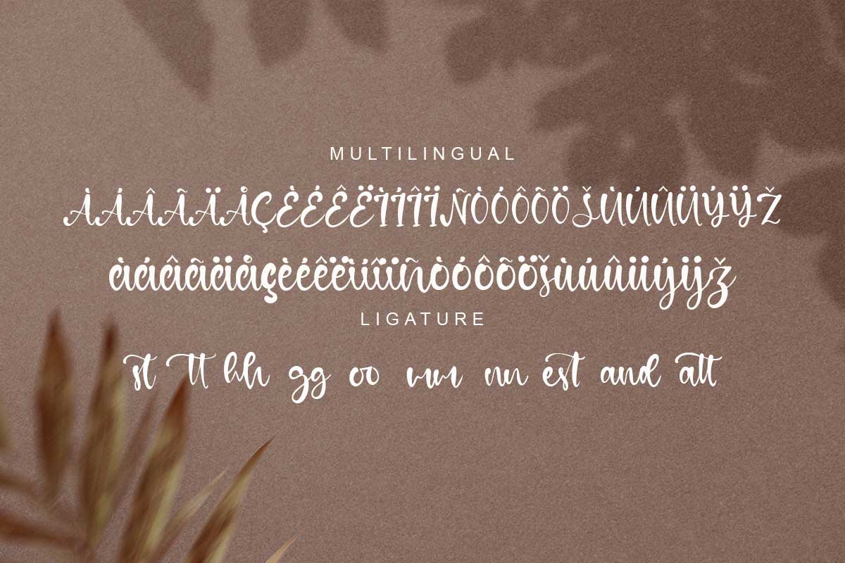 Dennison Calligraphy Font - Image 10