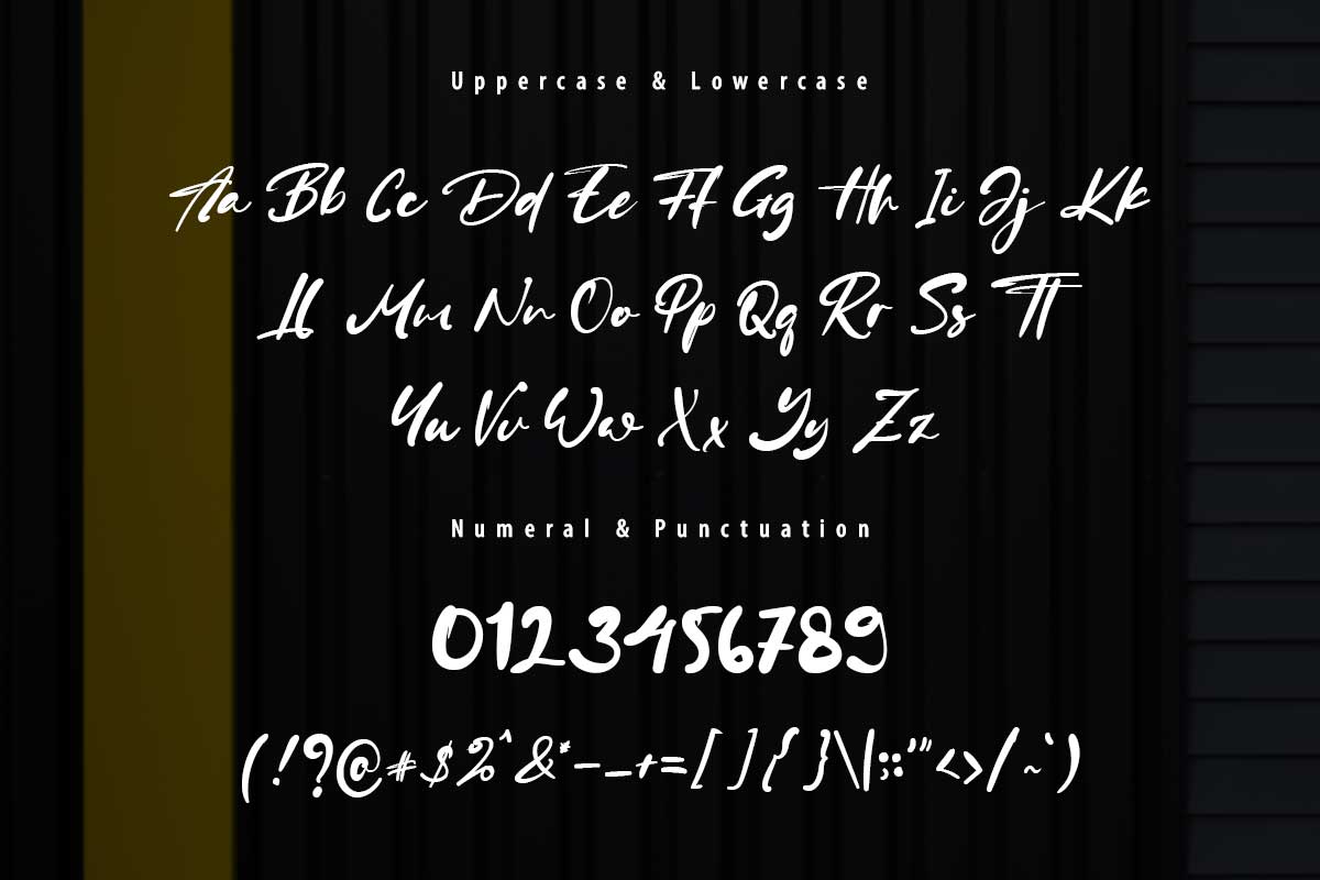 Diana Betty Script Font - Image 9