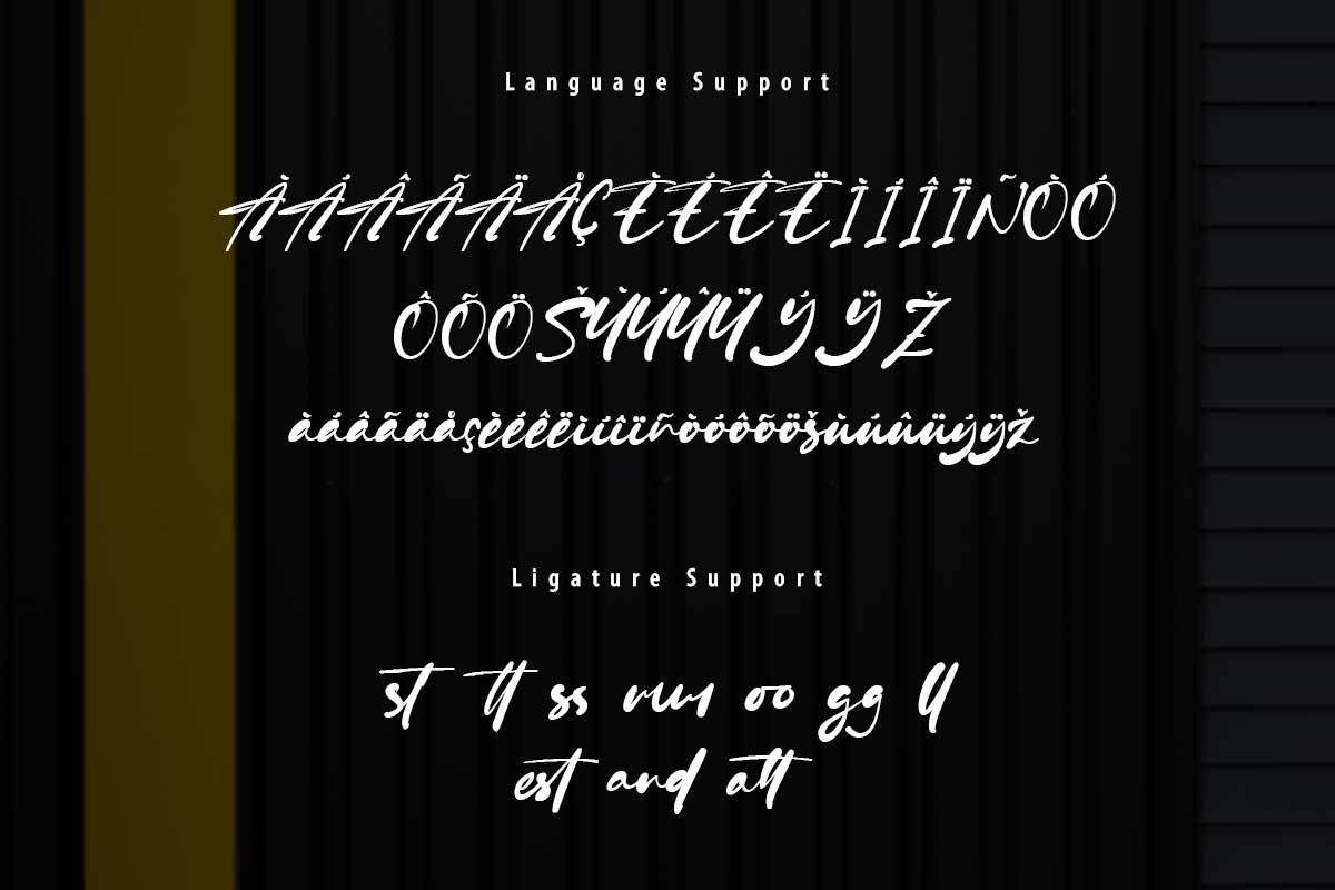 Diana Betty Script Font - Image 10