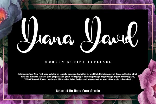 Diana David Classy Script Font - Image 2