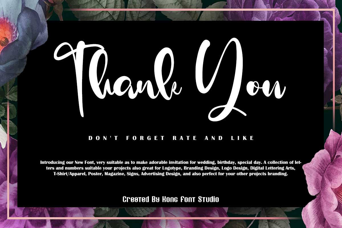 Diana David Classy Script Font - Image 11