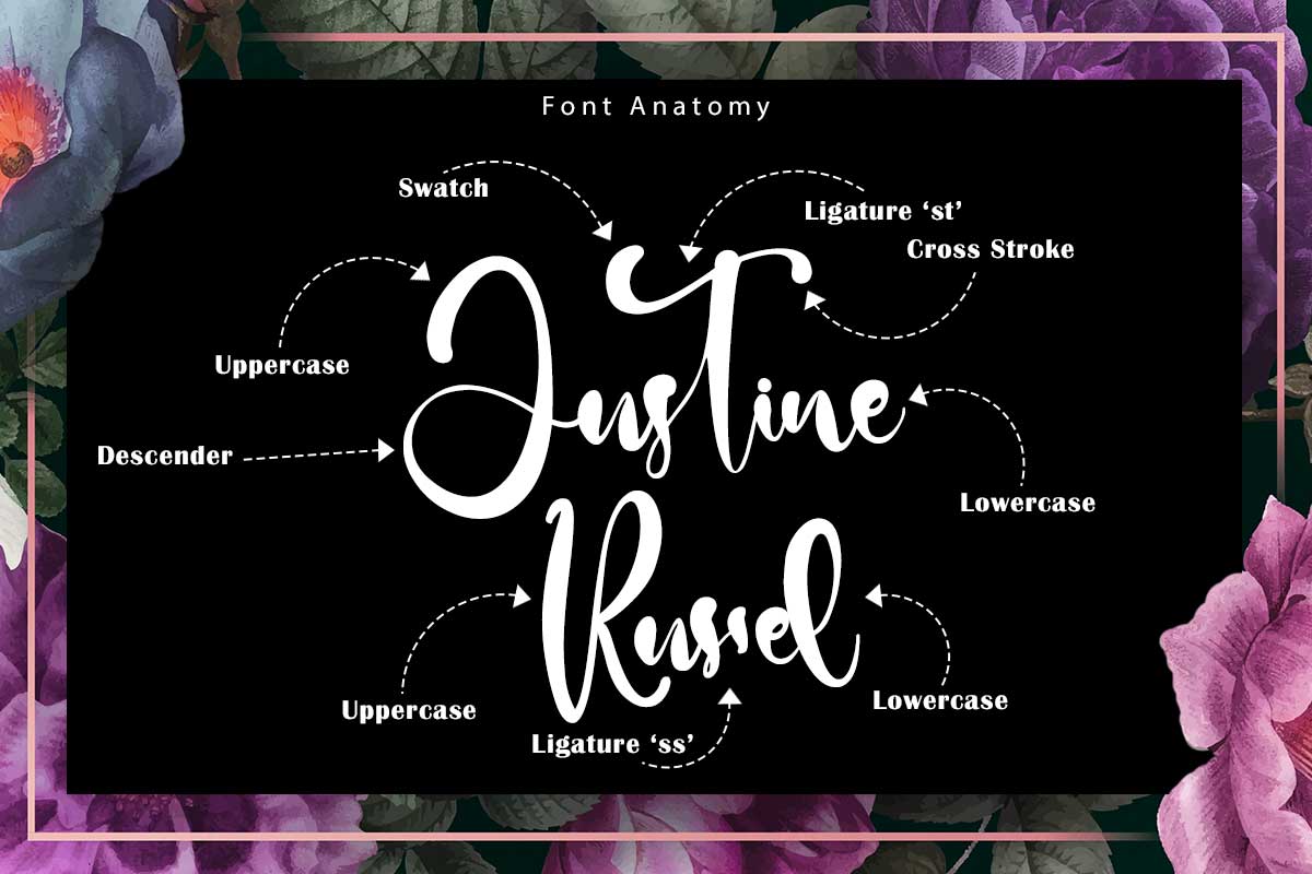 Diana David Classy Script Font - Image 3