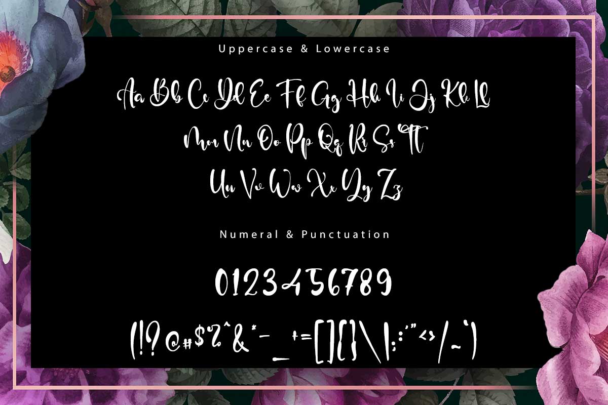 Diana David Classy Script Font - Image 9