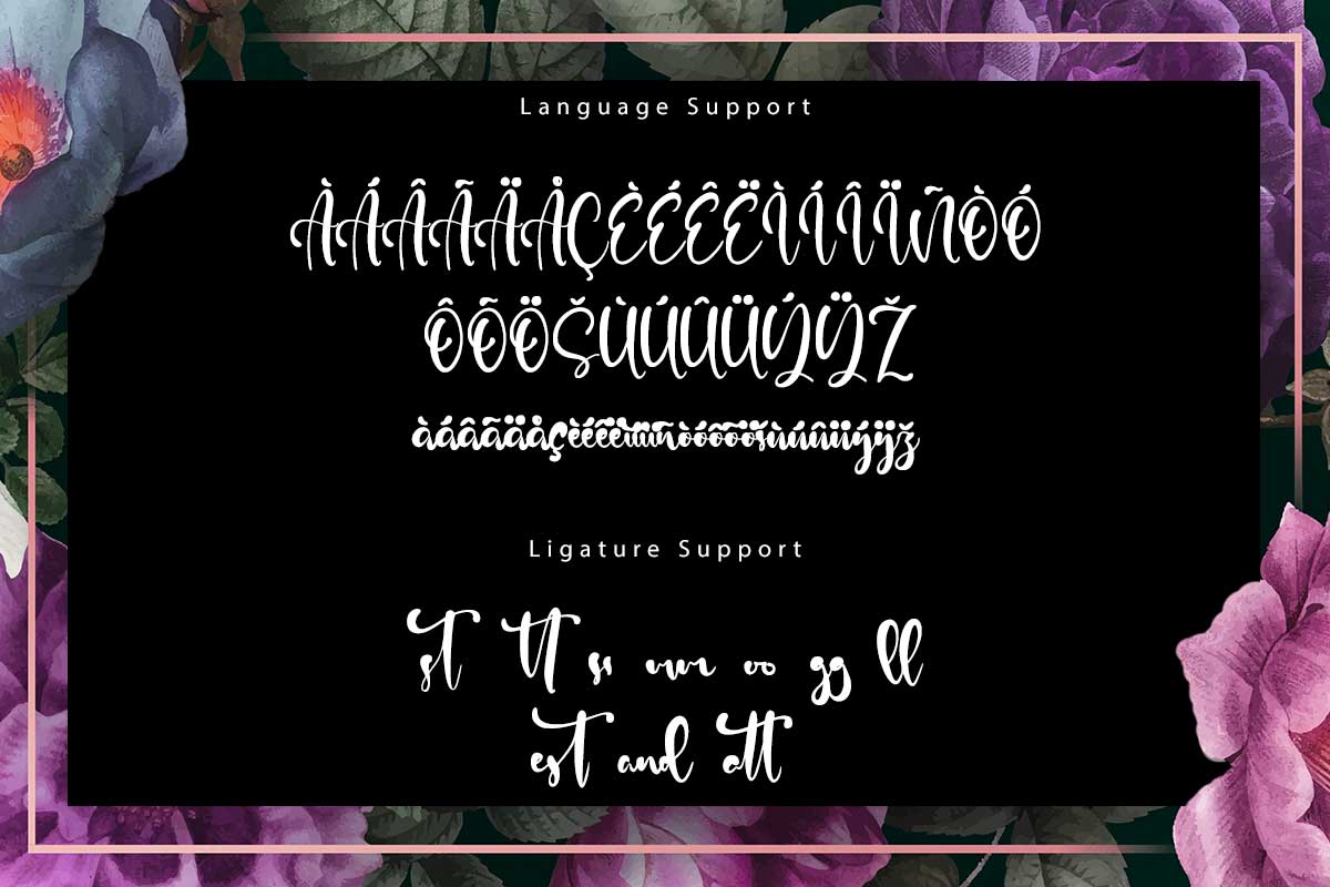 Diana David Classy Script Font - Image 10