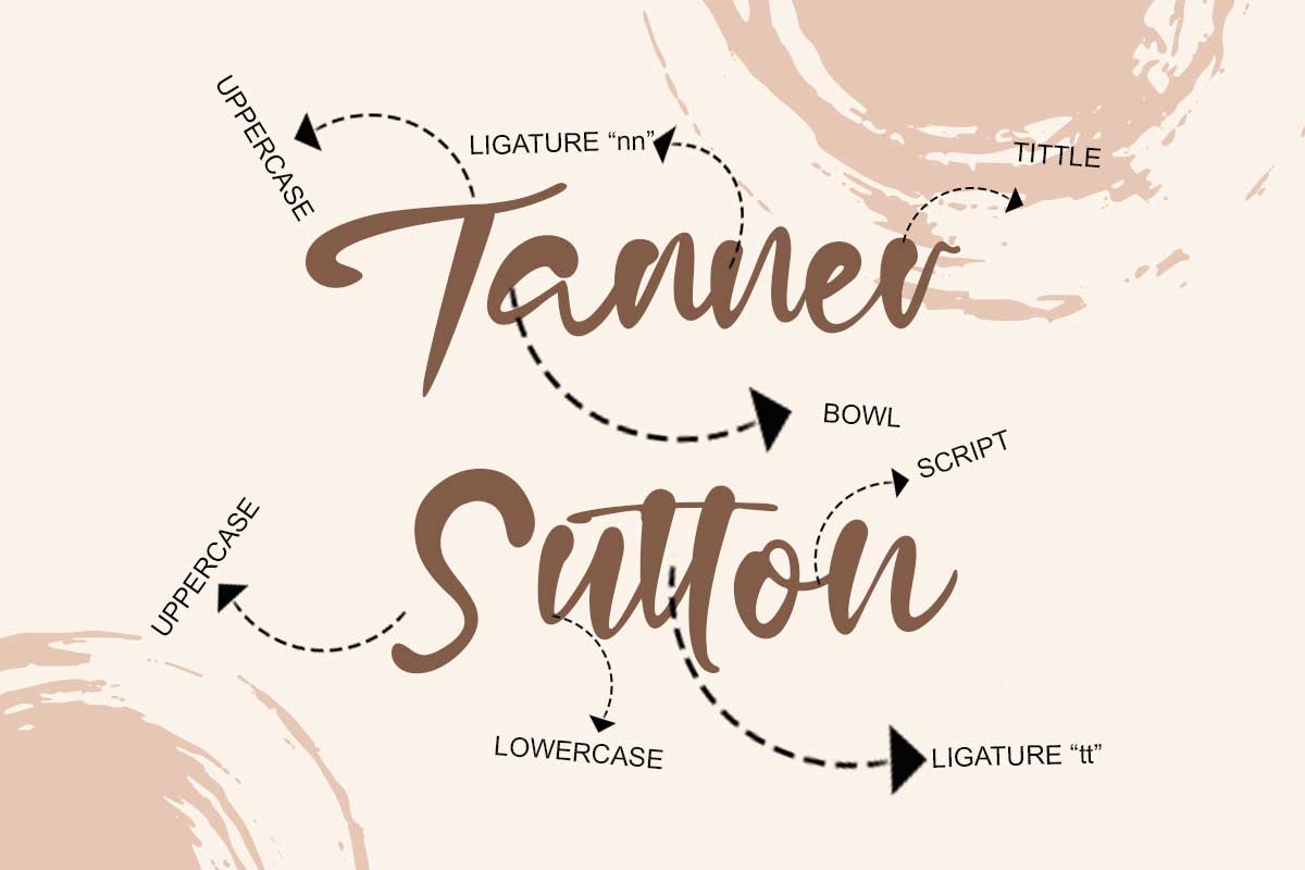 Dundleson Modern Script Font - Image 3