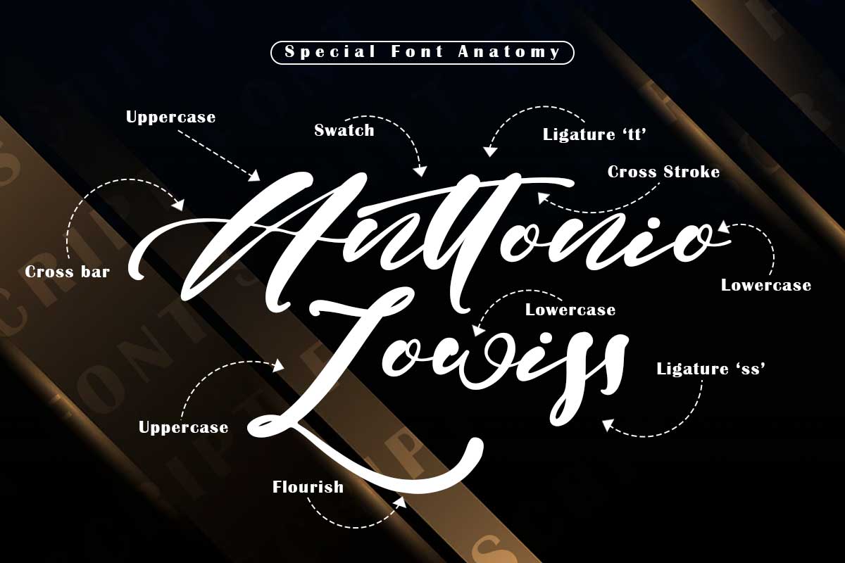 Erica Gavin Script Font - Image 3